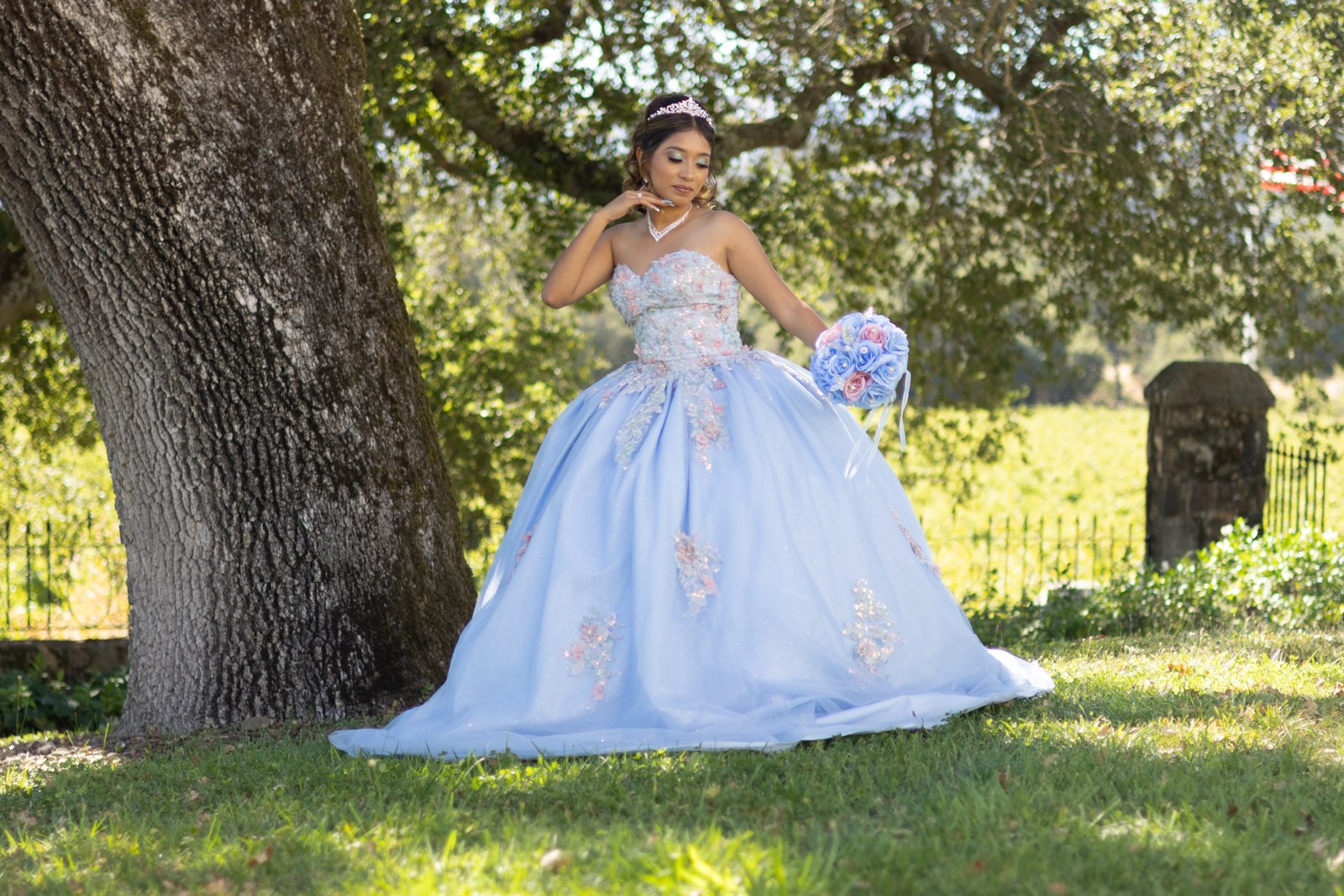 Quinceanera photography services in Humboldt County