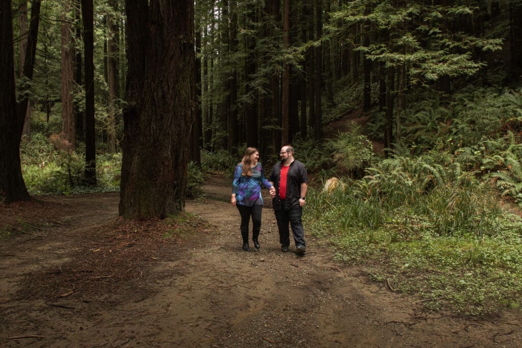 Redwood forest engagement photos