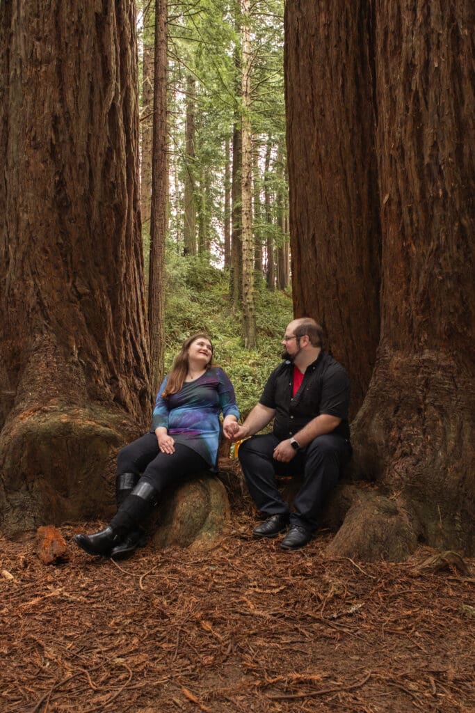 Northern California engagement session